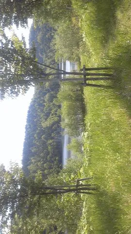 DVC00116.jpg